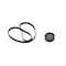 Continental TIMING BELT TENSIONER KIT TB262K2 - alternate 1